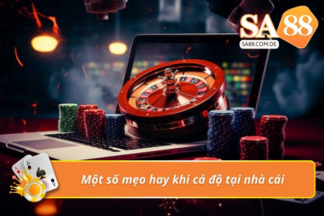 Bỏ túi mẹo hay khi cá độ tại sảnh cược